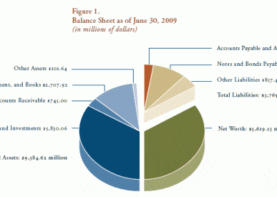 Figure 1. Balance Sheet as of June 30, 2009