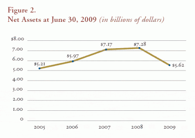 Figure 2. Net Assets at June 30, 2009